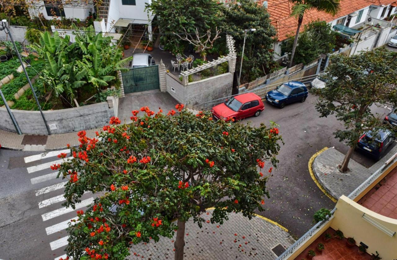 Perola, A In Madeira Apartment Funchal (Madeira)
